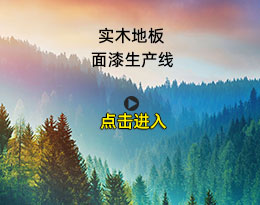 實(shí)木地板面漆生產(chǎn)線（二）