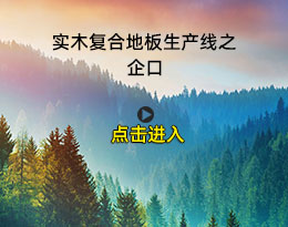 實(shí)木復(fù)合地板生產(chǎn)線之企口