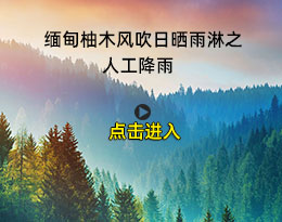 緬甸柚木風(fēng)吹日曬雨淋之人工降雨