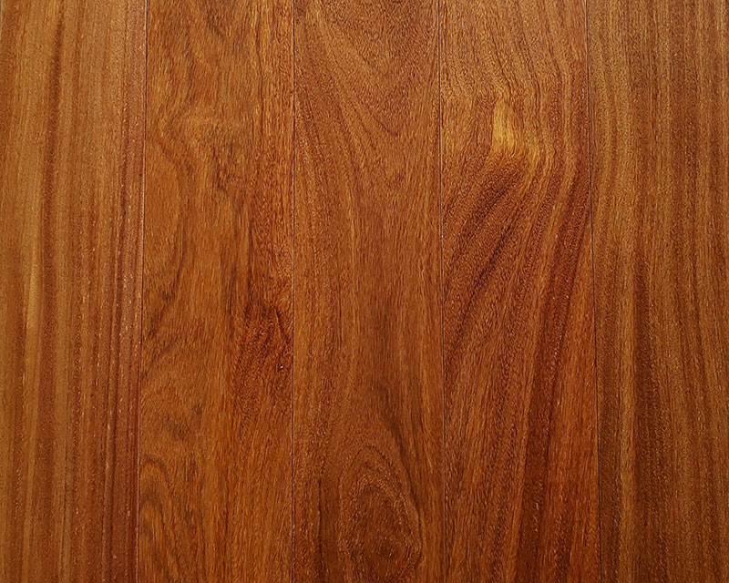 二翅豆（木蠟油）