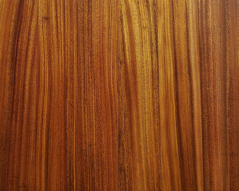 圓盤豆（木蠟油）