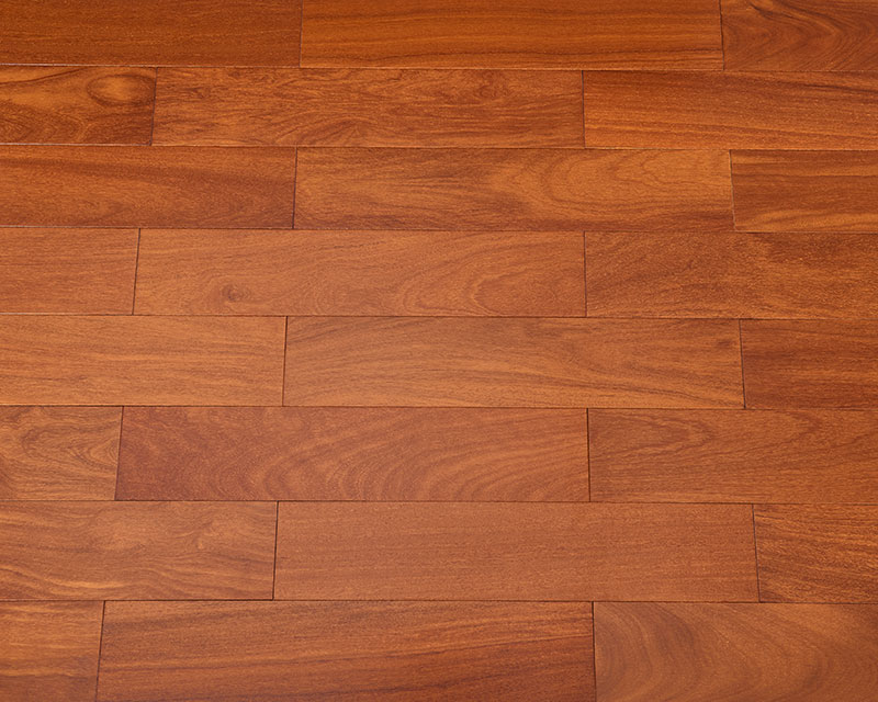 二翅豆（本色）