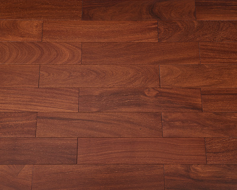 二翅豆（咖啡色）