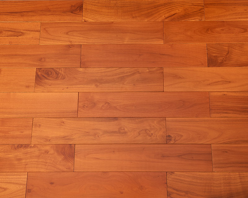 刺槐（柚木色）