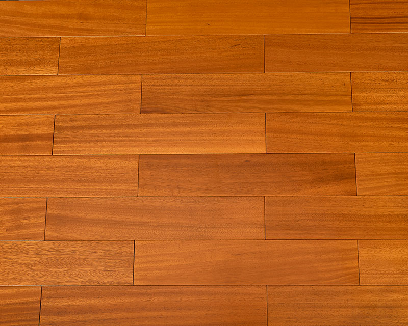 腺瘤豆（柚木色）